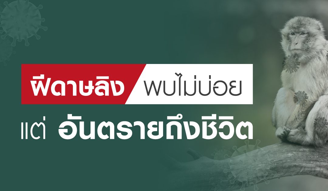 โรคฝีดาษลิง พบไม่บ่อย แต่อันตรายถึงชีวิต อาการอย่างไร ติดต่อทางไหน?